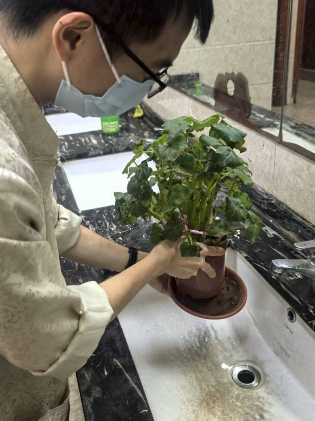 国医馆-图片-3.jpg